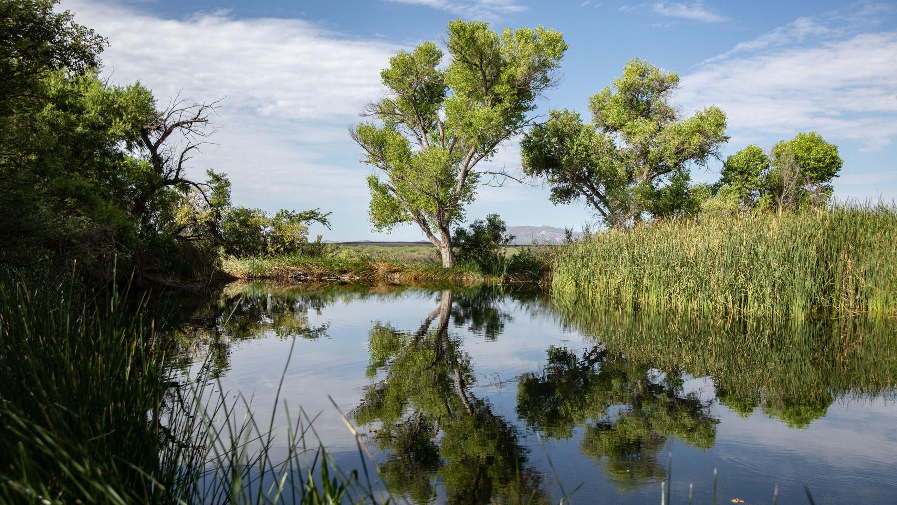 Border wall created 'dire emergency' at Arizona wildlife refuge